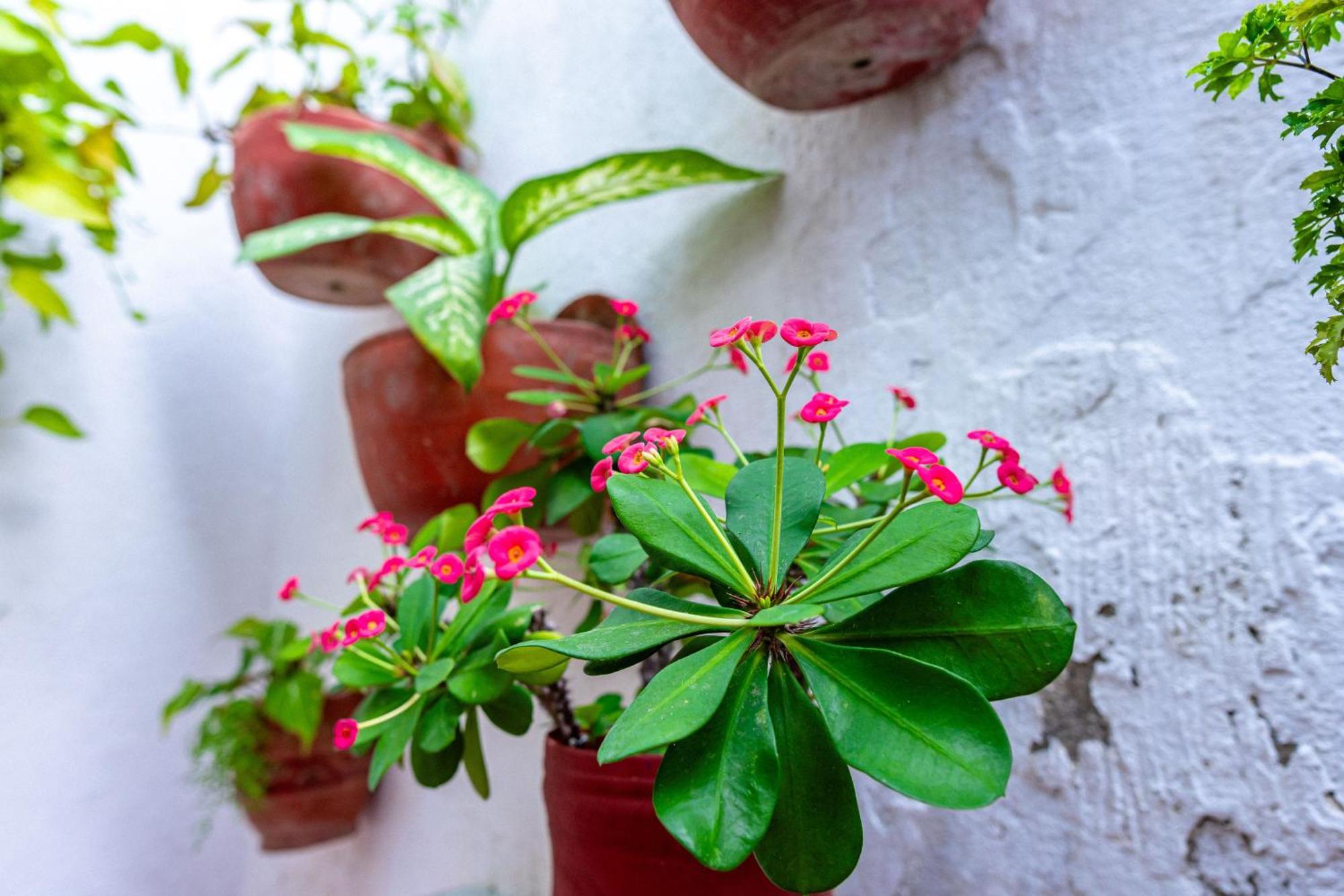 Oresca Hostel Cartagena Exterior photo