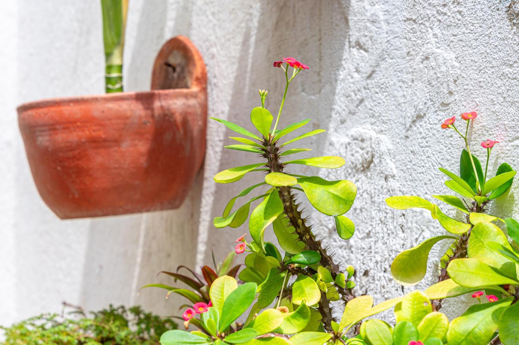 Oresca Hostel Cartagena Exterior photo